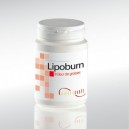 Lipoburn