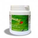 Maca