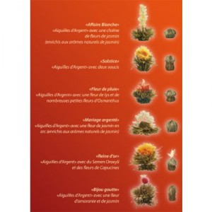 1 Lot 6 Fleurs de The + Theiere - Le The qui fleurit