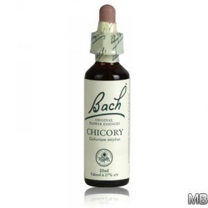 fleur de bach CHICORY