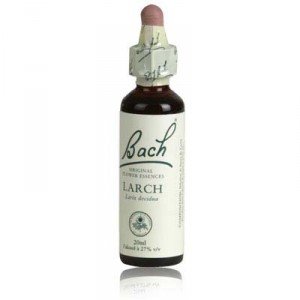 fleur de bach LARCH