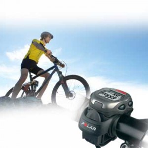 Polar support guidon universel