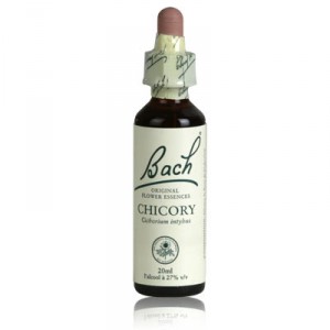 Fleur de bach CHICORY n°8