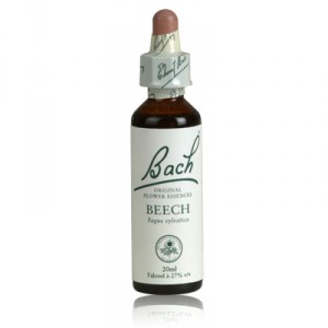 Fleur de bach BEECH n°3
