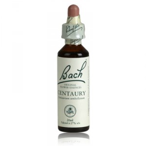 Fleur de bach CENTAURY n°4