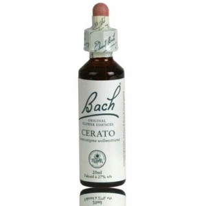 Fleur de bach CERATO n°5