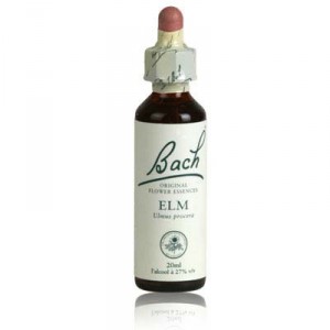 Fleur de bach ELM n°11