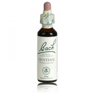 Fleur de bach GENTIAN n°12