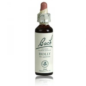 Fleur de bach HOLLY n°15