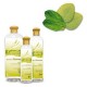 Camylle Brume de hammam Eucalyptus Menthe